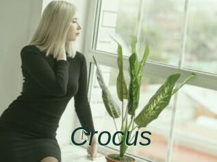Crocus