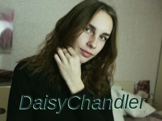 DaisyChandler