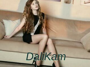 DaliKam