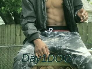 Day1DOG