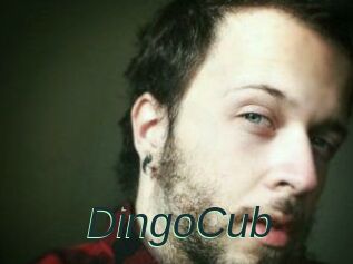 DingoCub