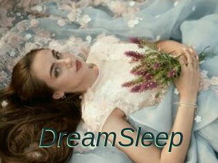 DreamSleep