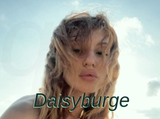 Daisyburge