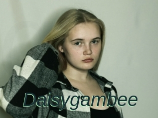 Daisygambee