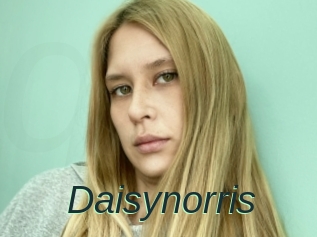 Daisynorris