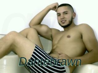 Dantebrawn