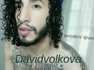 Davidvolkova
