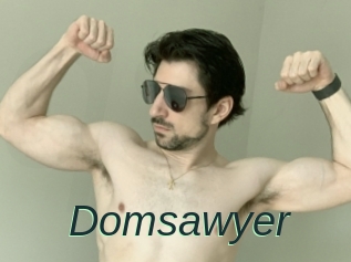 Domsawyer