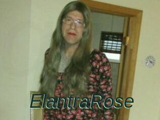 Elantra_Rose
