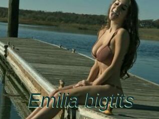 Emilia_bigtits
