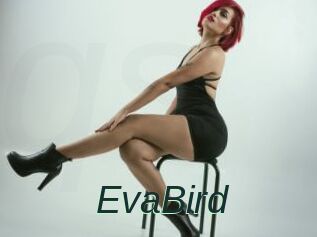 EvaBird