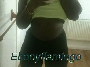 Ebony_flamingo