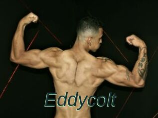 Eddycolt