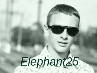 Elephant25