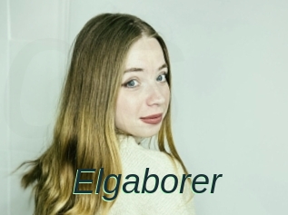 Elgaborer