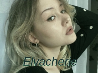 Elvacherie