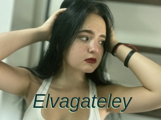 Elvagateley