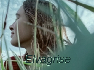 Elvagrise