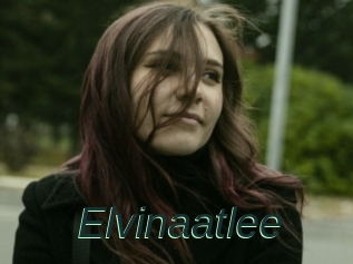 Elvinaatlee