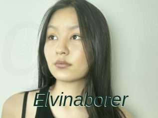 Elvinaborer