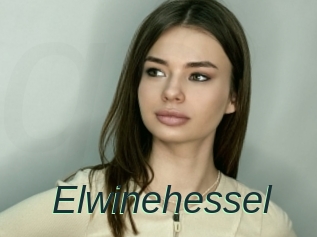 Elwinehessel