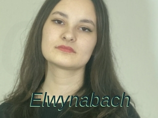 Elwynabach