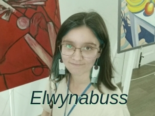 Elwynabuss