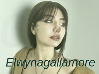 Elwynagallamore