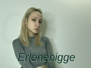 Erlenebigge