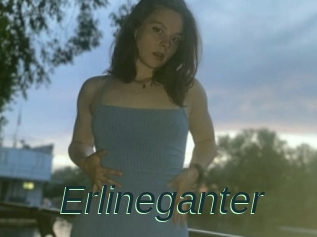 Erlineganter