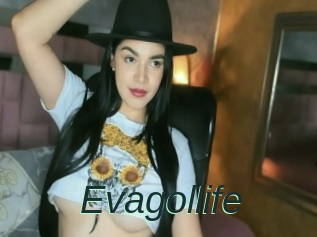 Evagollife