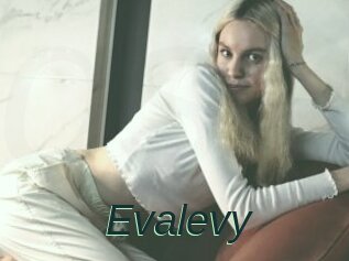 Evalevy