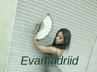 Evamadriid