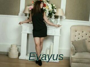 Evayus