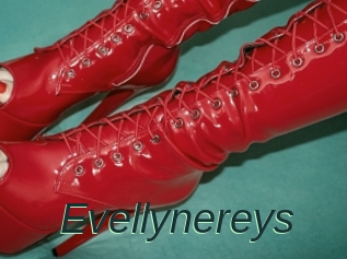 Evellynereys