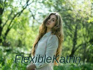 FlexibleKatrin