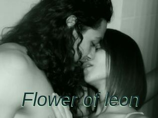 Flower_of_leon