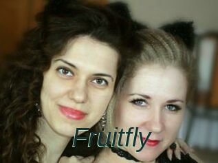 Fruitfly