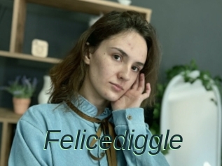 Felicediggle