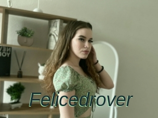 Felicedrover