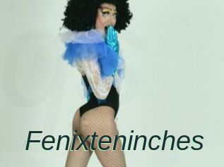 Fenixteninches