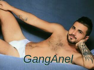 GangAnel