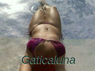 Gaticaluna