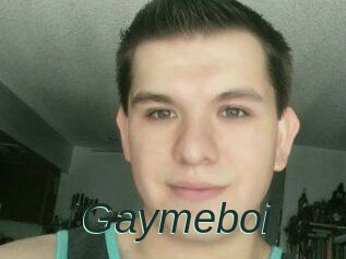 Gaymeboi