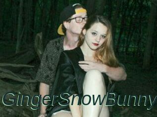 GingerSnowBunny