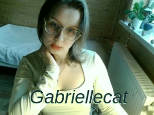 Gabriellecat