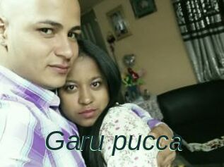 Garu_pucca