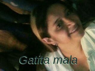 Gatita_mala