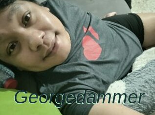 Georgedammer