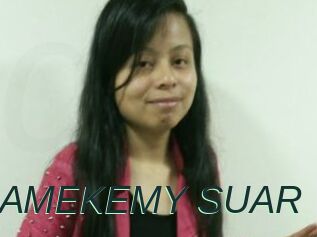 HAMEKEMY_SUAR